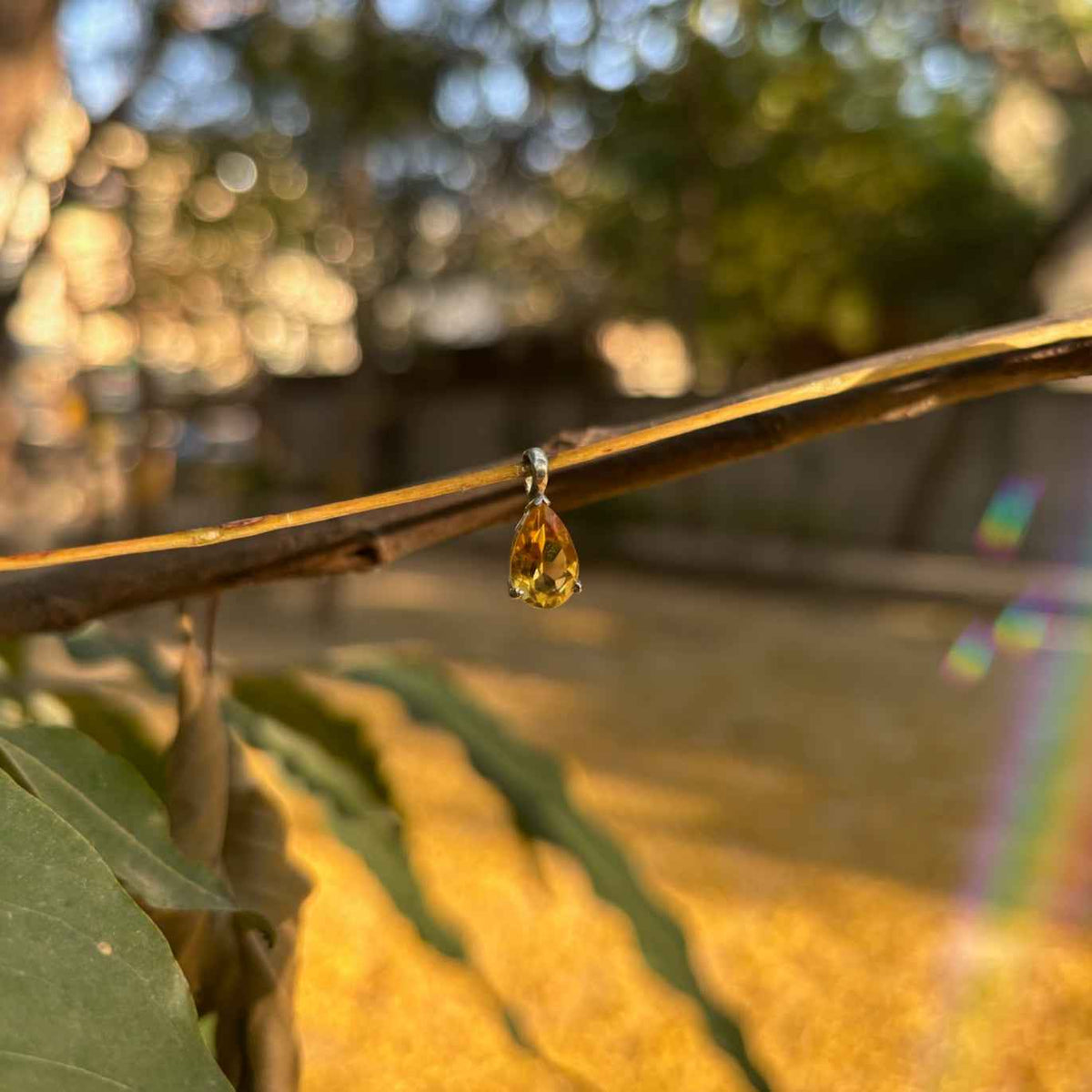 Honeydrop Pendant