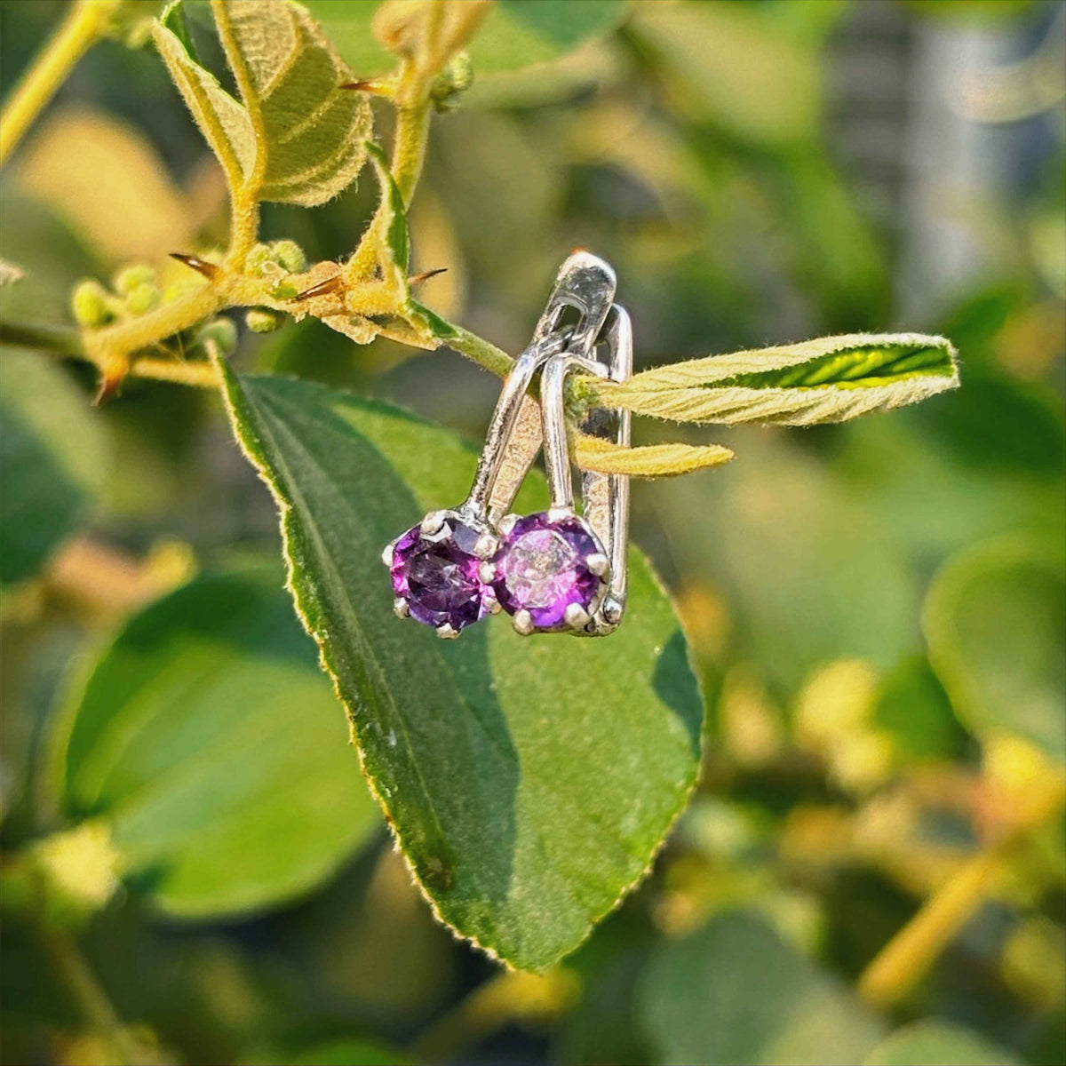 Plum Earrings